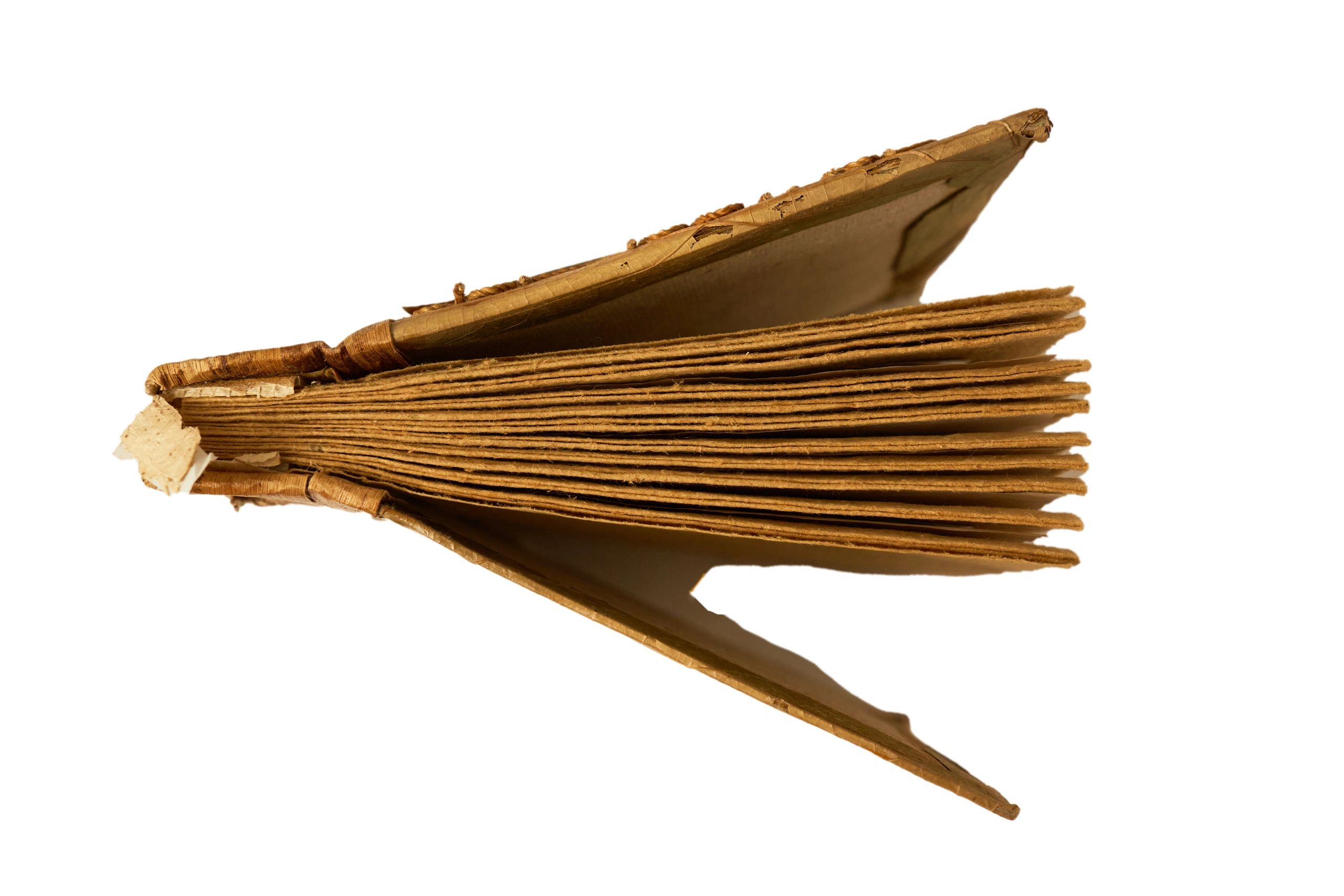 Antique manuscript pages arranged in a scholarly display